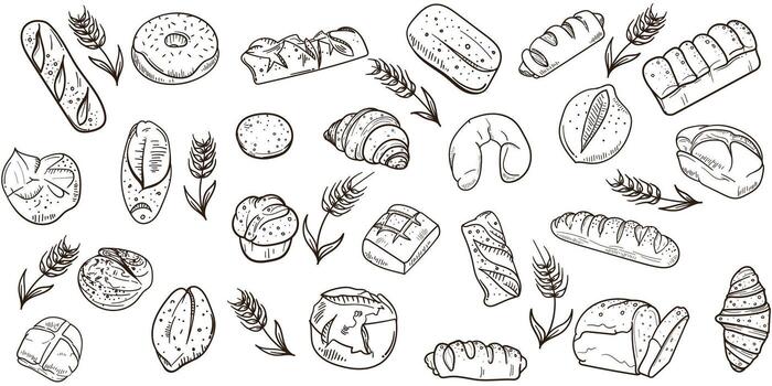 Bread collection design for bread shop advertisement background template. isolated bread on white background vector