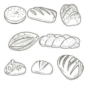 Set of bread illustration in line art hand drawn design for bakery advertisement campaign. isolated on white background vector
