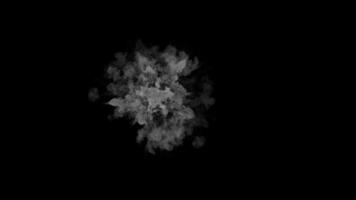 Abstract Smoke Explosion, An abstract cloud of smoke billows dramatically, a captivating display of ephemeral beauty. Evoking a sense of mystery and the fleeting nature of form video