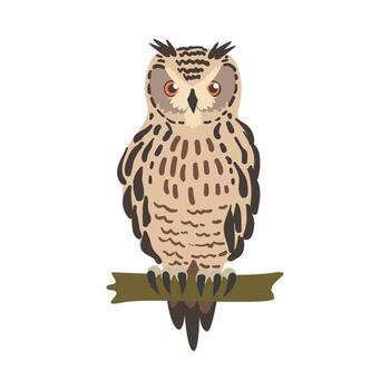 Owl Specie as Nocturnal Bird of Prey with Hawk-like Beak and Forward-facing Eyes Perching on Tree Branch Illustration vector