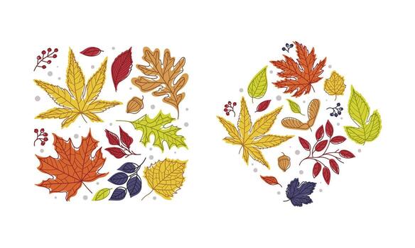 Shape with Bright Autumn Foliage of Different Leaf Color Arrangement Set vector