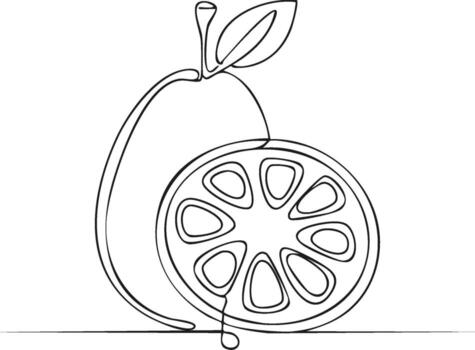 Continuous line drawing of a fruit. Half-cut citrus fruit with leaves in a minimal art style. vector