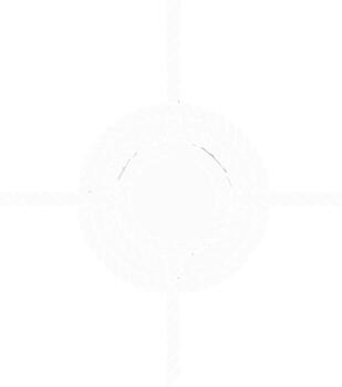 Nautical rope forming a circular frame and compass points icon vector