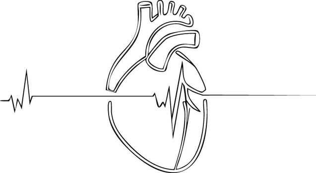 Minimalist continuous line art drawing of a human heart with an electrocardiogram heartbeat pulse rhythm vector