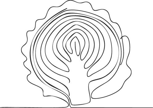 Single Line Drawing of a Cabbage Halved Revealing Layers and Stem vector