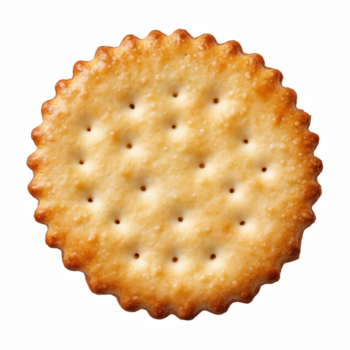 realistisch gouden ronde kraker met geschulpte randen en krokant structuur geïsoleerd Aan transparant achtergrond png