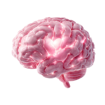 abstrakt rosa hjärna med lysande hjärta symbol och lysande neuralt nätverk. vetenskap och hälsa konc png