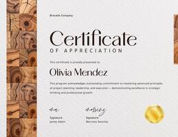 Minimalist Certificate of Appreciation Project Management template