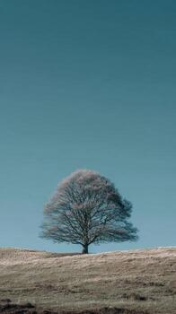 A solitary tree stands on a grassy hill under a clear, blue sky photo