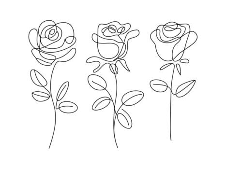 Three elegant roses in a continuous line drawing isolated on white background vector