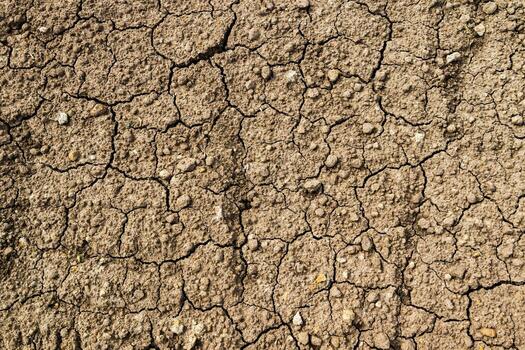 Dry cracked earth surface displaying intricate patterns and textures, highlighting the effects of drought and environmental changes on soil quality and landscape resilience photo
