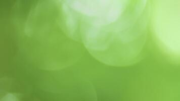 mjuk grön bokeh ljus från natur löv skapande en lugna och uppfriskande atmosfär. perfekt för eko, friskvård, och avkopplande bakgrund video