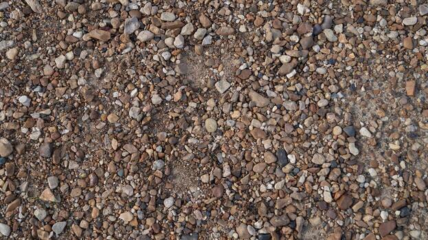 High-res pebbled ground texture with mixed gravel stones. Ideal for backgrounds, 3D renders, landscape visualization, game environments, architecture and design. photo