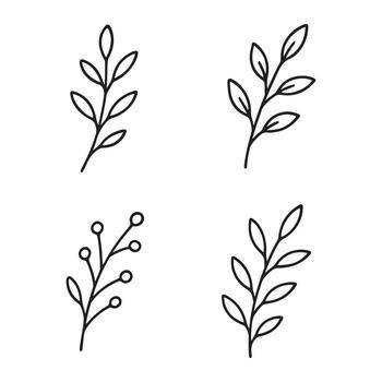 Set of four simple line art botanical elements with leaves and berries. vector