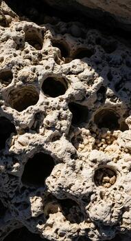 Close up of a porous textured rock surface with numerous circular holes and shadows creating a natural abstract pattern photo