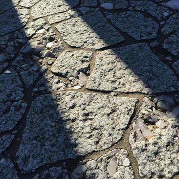 Sunlight casts dramatic shadows across a textured uneven cobblestone pathway with irregular stone shapes and visible grout photo