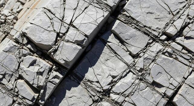 Intricate network of dark veins and fractures crisscrossing a textured light gray rock surface creating a natural abstract pattern photo