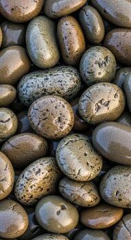 Close up view of smooth rounded and polished river stones with varied earthy tones and speckled patterns creating a textured background photo