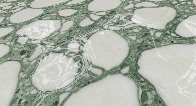 Abstract organic cellular structure with interconnected white and green organic shapes creating a unique biological pattern photo