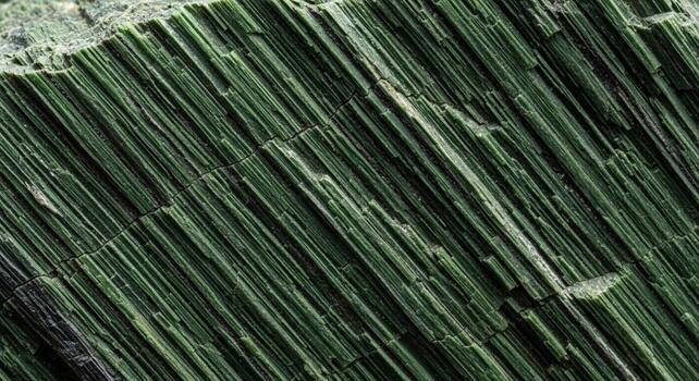 Close up view of a dark green mineral with parallel fibrous crystalline structures showing intricate natural patterns and textures photo