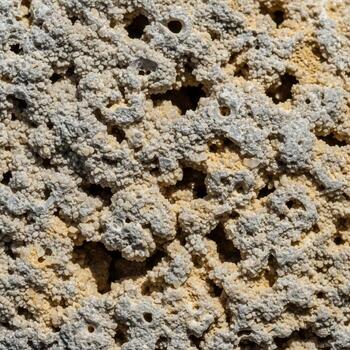 Close up textured abstract background of porous volcanic rock with subtle variations in color and light highlighting its rough surface photo