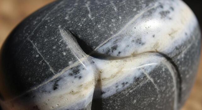 Close up of a smooth dark gray pebble with striking white and light gray mineral inclusions creating a unique abstract pattern photo