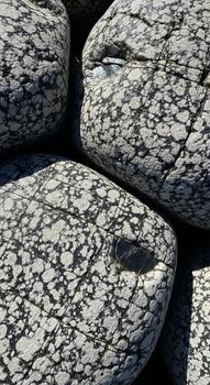 Close up view of large smooth rounded river rocks with intricate black and white speckled patterns creating a natural mosaic texture photo