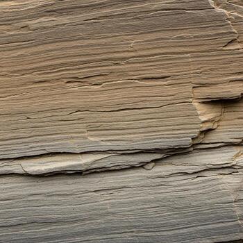 Close up view of weathered and textured natural wood grain with subtle color variations and horizontal lines photo