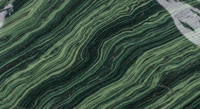 Abstract close up of flowing green and dark wavy lines creating a textured organic pattern with subtle light highlights photo