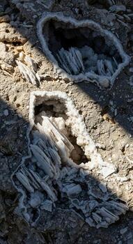 Close up view of two geode like formations with crystalline structures illuminated by dappled sunlight on a textured surface photo