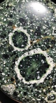 cerca arriba macro ver de un pulido verde orbicular jaspe Roca exhibiendo sus único circular patrones y vibrante mineral inclusiones foto