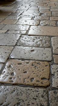 Close up view of wet weathered cobblestone pavement reflecting soft light and showing textured surface details photo