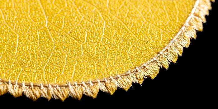 Macro view of a vibrant yellow textured object with a decorative stitched fringe edge on a black background photo