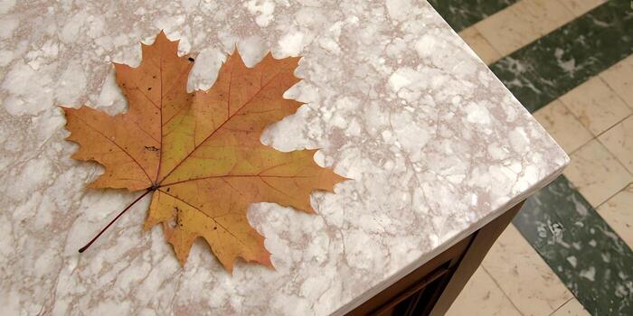 un soltero otoño arce hoja descansa en un pulido mármol superficie con un estampado piso en el antecedentes foto