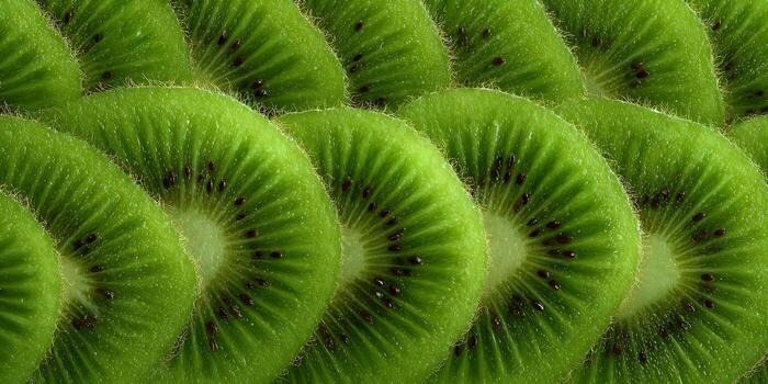 Fresh green kiwi fruit slices are arranged in an overlapping pattern showing their texture photo