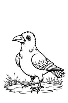 A stylized illustration of a standing bird with detailed feathers and a beak set against a white background with a grassy ground line vector