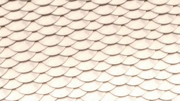 A close up of a white fish scales pattern photo