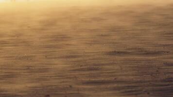 gyllene solnedgång gjutning värma ljus över torr öken- landskap, vind sotning bra sand korn och skapande dynamisk, strömmande mönster tvärs över ödslig terräng video