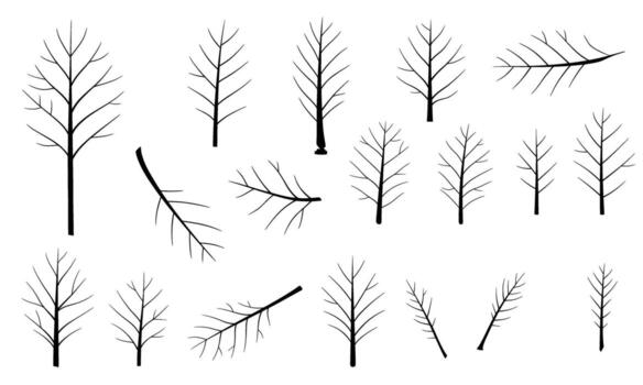 A collection of bare tree branches, capturing the intricate details and stark beauty of winters natural forms in a minimalist style vector