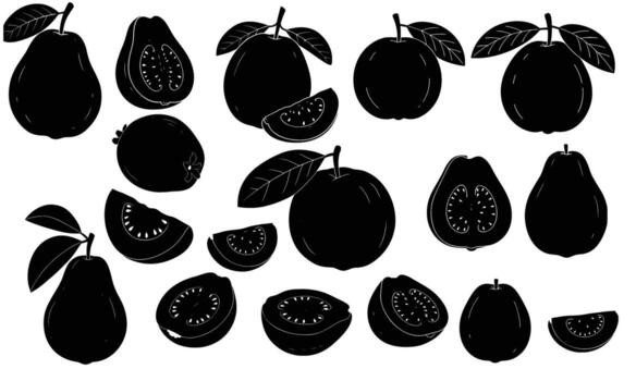 A collection of guava silhouettes presents the fruit in various forms, whole and sliced, with leaves adding a touch of nature, the unique shape is captured vector