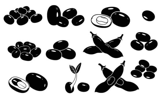 colección de negro haba de soja siluetas un detallado Mira a soja en varios formularios, desde pila de algo de frijoles a abierto vainas y brotante semillas, exhibiendo su versatilidad vector