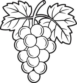 uva racimo con hojas en negro y blanco contorno estilo vector
