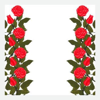 A square frame decorated with borders of bright red roses on a stem on the left and right edges. vector