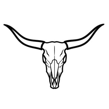 Minimalist Line Drawing of a Longhorn Skull with Curved Horns and Detailed Bone Structure vector