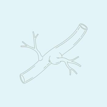 A drawing of a branch with a branch on it vector
