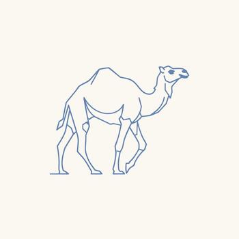 A camel is standing in a line on a white background vector