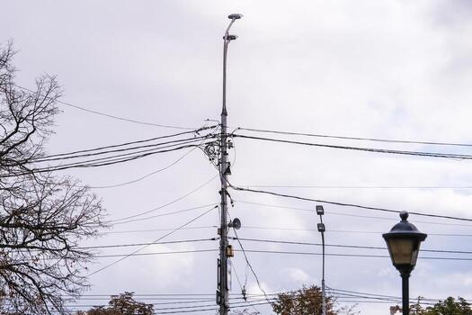 Tangled power lines and light poles against a cloudy grey sky with bare tree branches, showing urban infrastructure and electrical grid chaos. photo