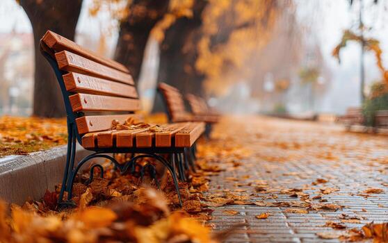 Wooden benches in an autumn park lined with leaf-covered pathways and trees during a tranquil afternoon photo