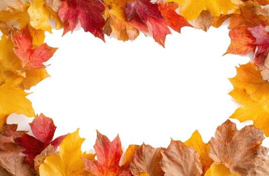 Vibrant autumn leaves arranged in a colorful frame on a clean white background for seasonal decoration or design photo