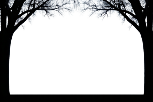 frostig träd grenar båge över mörk tömma Plats, skapande vinter- skog ram med lugn, lugn atmosfär, perfekt för säsong- eller Semester bakgrunder png